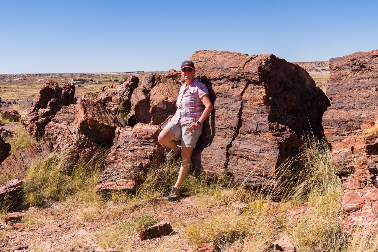  Petrified Forest NP 