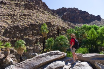  Palm Springs 